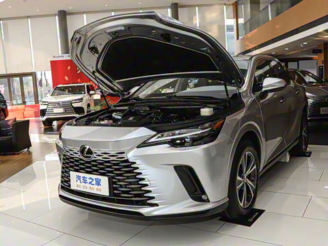 2025�� 300 ����������