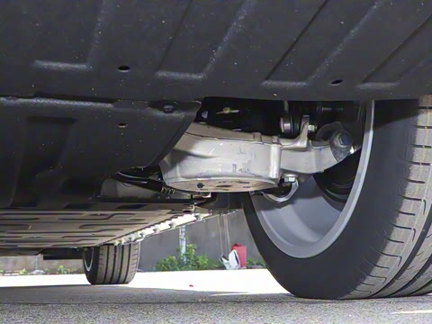 2025�� 636Max���Ȱ� 6��