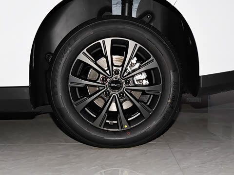 2025�� 520���а�