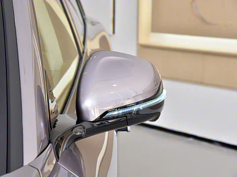 2025�� FREE+ ����Ǭ����