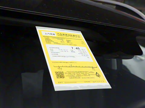 2025�� PLUS 330TGI �Զ��쳱�ǻݰ�