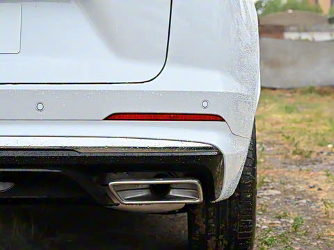 2025�� ������Plus ����Avenir��ά��