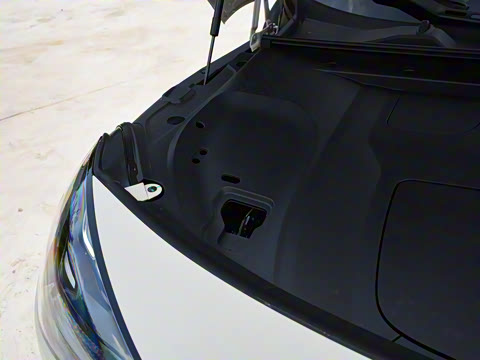 2026�� �鶯��������