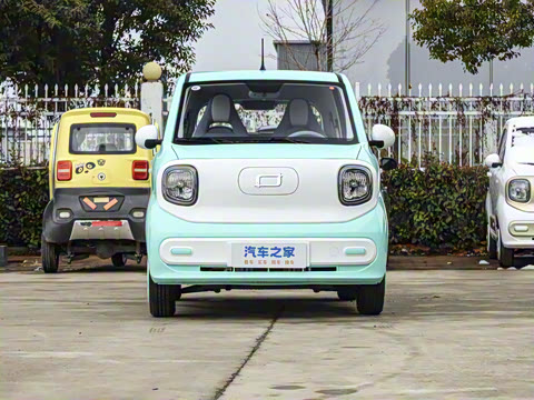 2025�� 222km ������