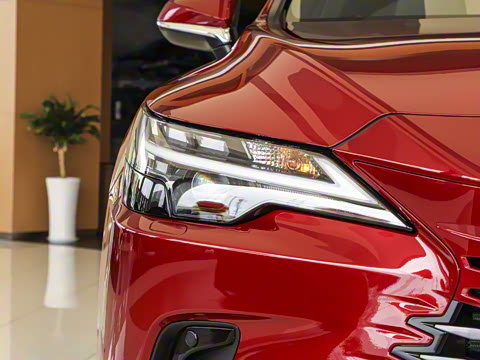 2025�� 300 ����������