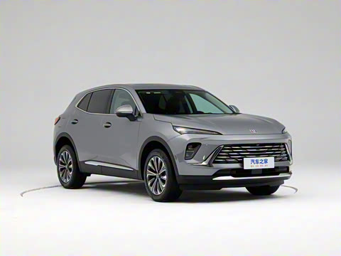 2025�� 25T �����׽��