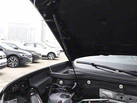 2025�� ;�� Pro 450TSI �����ݺ��