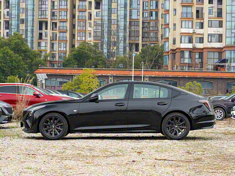 2025�� 28T �������ܰ�