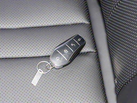 2025�� DM-i �Ǽݰ� 75KM�����