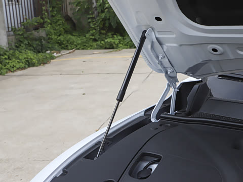 2025�� ���� 230ProѲ����