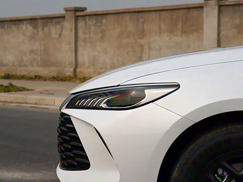 2025�� DM-i �Ǽݰ� 55KM������