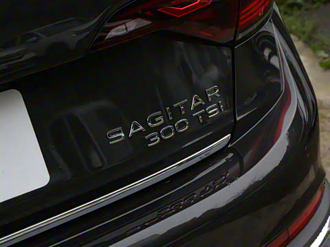 2025�� �Ŀ� 300TSI DSG׿Խ��