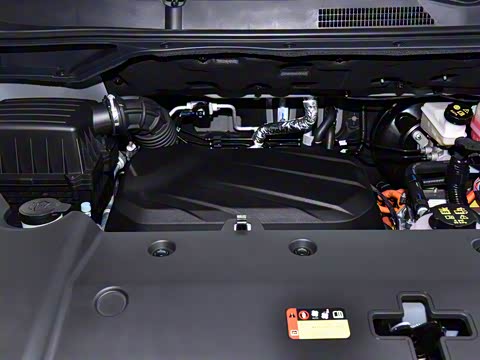 2025�� �콢��