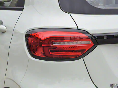 2025�� 310������