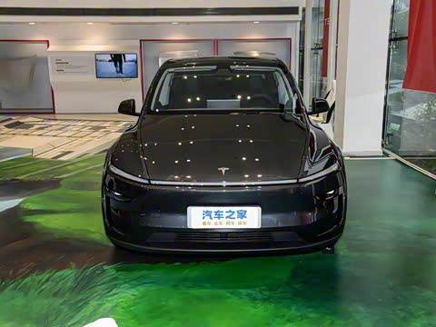 2025�� ����������