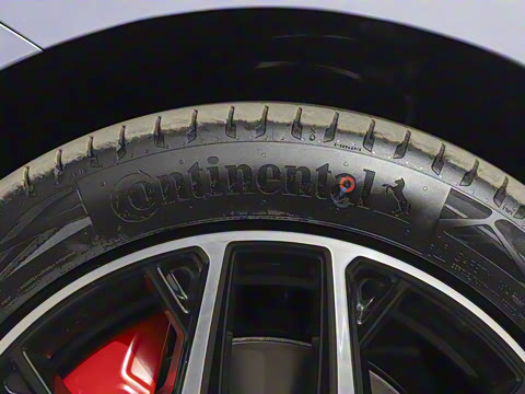 2025�� ���� 565����Max�캽��