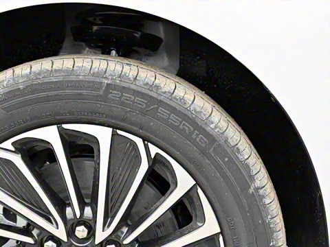 2025�� ½�� ������ 7��