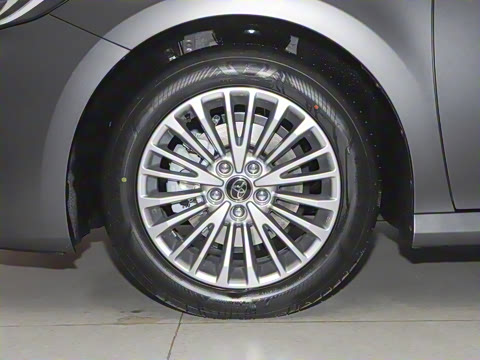 2025�� ˫�� 2.0HG ��԰�