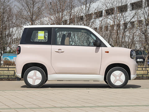 2025�� Pro 201km ���ư�