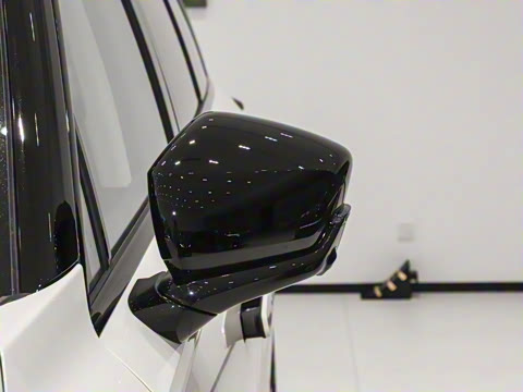 2025�� ���� Max