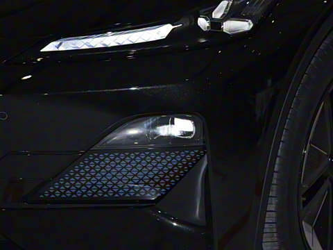 2025�� ���羭���