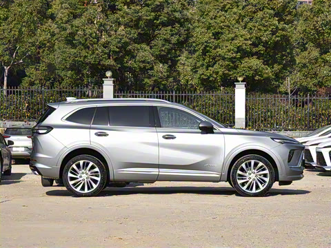 2025�� ������Plus ����Avenir��ά��