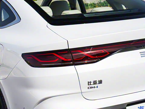 2025�� DM-i �Ǽݰ� 120KM��Խ��