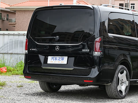 2025�� V 300 L ����������