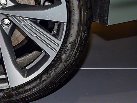 2026�� ����������