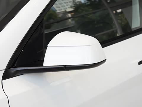 2025�� ����������