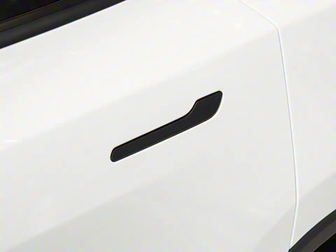 2025�� ����������