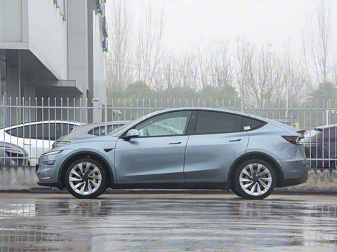 2025�� ����������