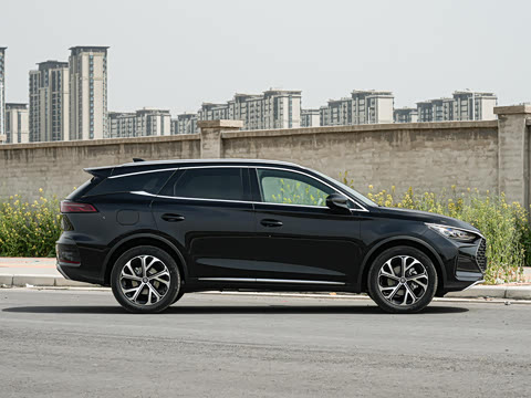 2025�� DM-i 175KM �캽��