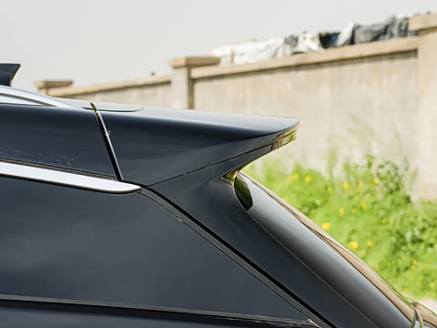 2025�� DM-i 175KM �캽��