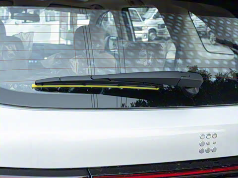 2025�� 165km ������������ 7��