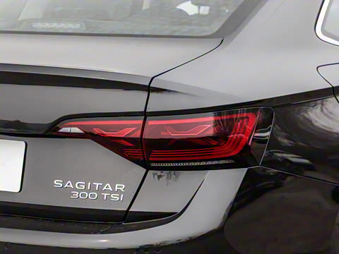 2025�� �Ŀ� 300TSI DSG��Խ��