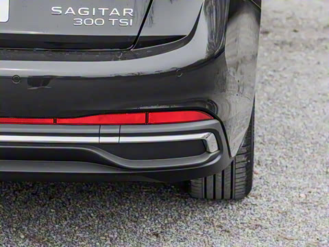 2025�� �Ŀ� 300TSI DSG��Խ��