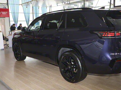 2025�� ;�� Pro 450TSI �����Ƿ��