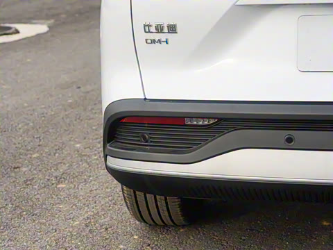 2025�� DM-i �Ǽݰ� 115KM�콢��