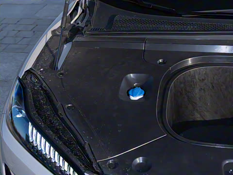 2025�� 550��ѡ��