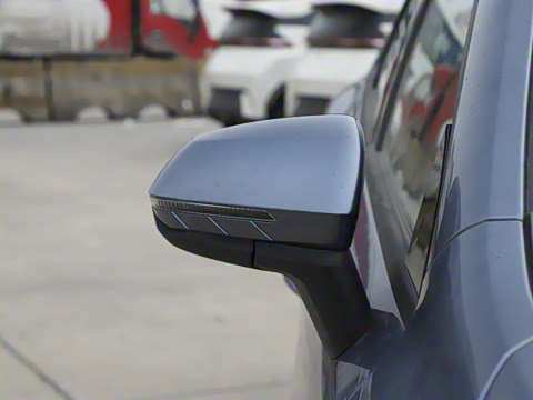 2025�� DM-i �Ǽݰ� 55KM������