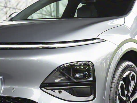 2025�� 725 �������� Max �콢��