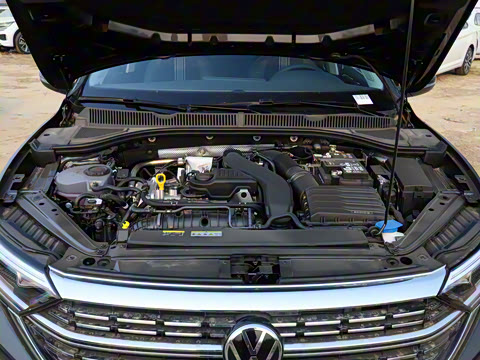 2025�� 300TSI DSG��Խ��