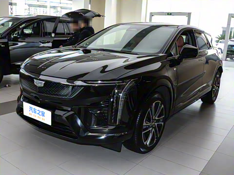 2024�� ������������