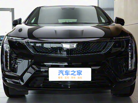 2024�� ������������