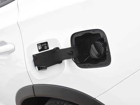 2024�� �ھ��� 290TGDI DCT��ҫ�� 5��