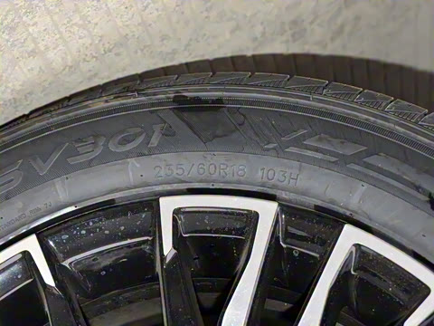 2025�� �ھ��� 1.5T �ֶ��ھ� 5��