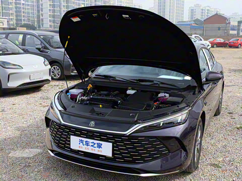 2025�� DM-i �Ǽݰ� 80KM������