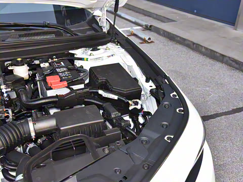 2025�� 260TURBO ��Ӣ��