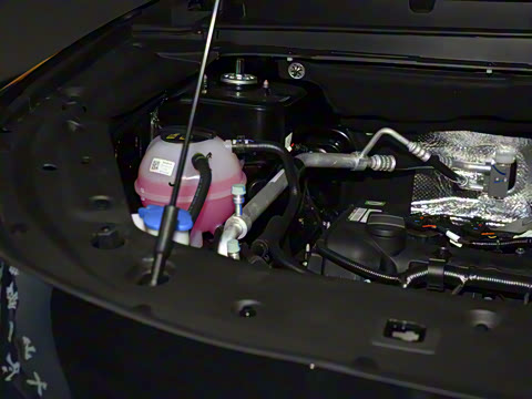 2025�� �ھ��� 1.5T �ֶ��ھ� 7��